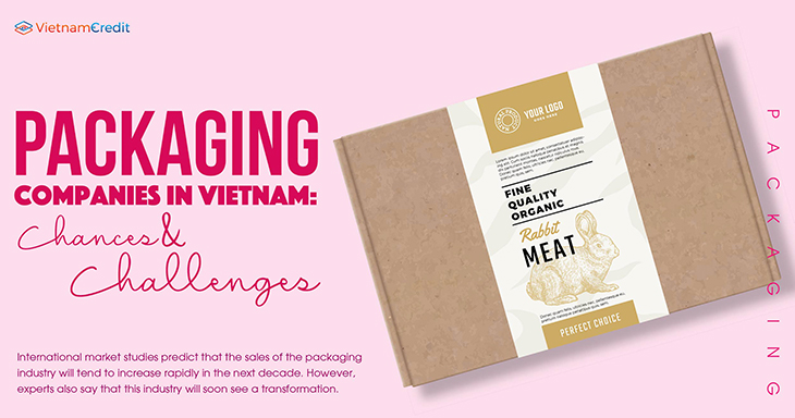 Packaging companies in Vietnam: Chances and Challenges